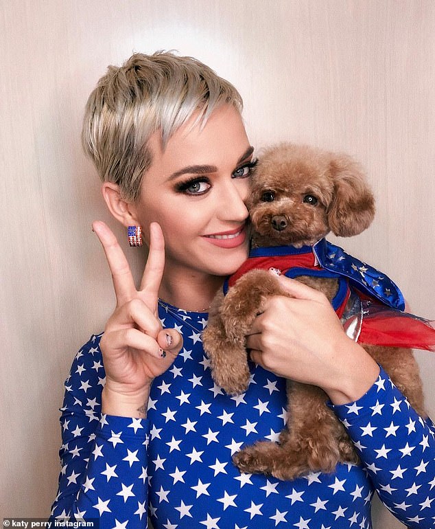 Katy Perry vegán lett..., a kutyájával együtt!